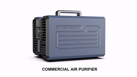 速い浄化オゾン発電機の空気清浄器Professinal 227x172x176 Mm